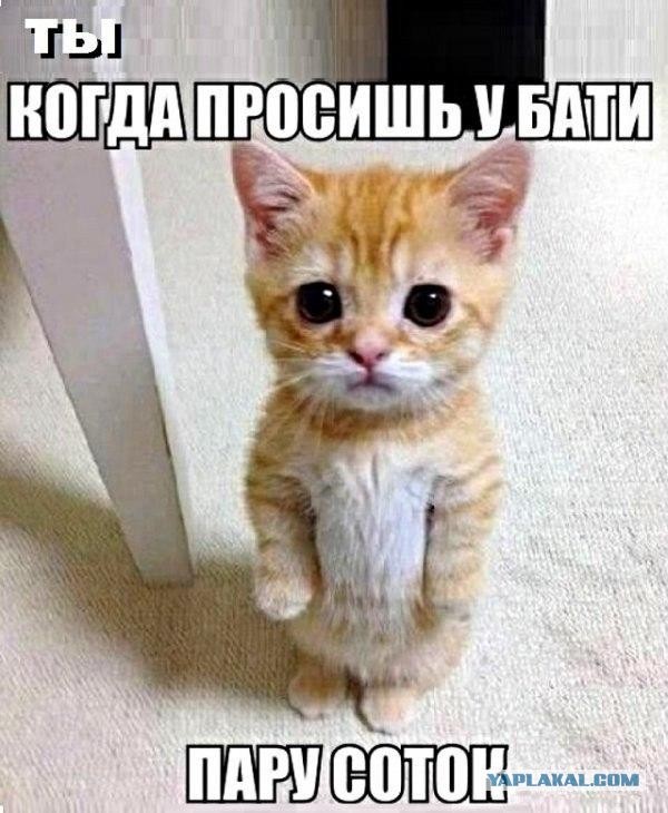 Баянисто-небаянистый юмор. 7.10.20.
