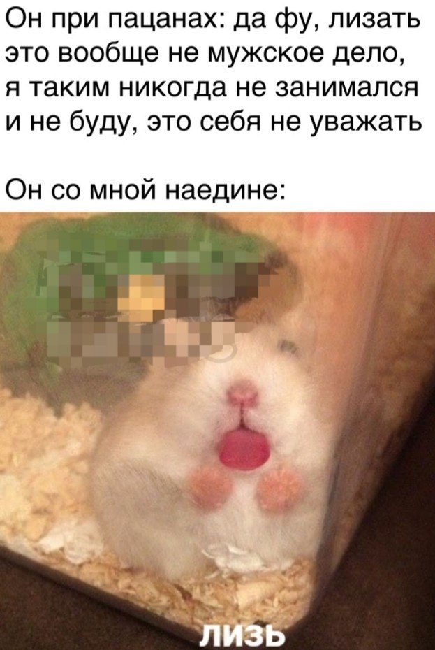 Бредзона (без кудябликов)
