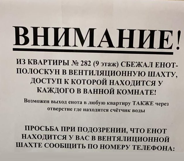 Картинки с надписями и всякие жизненные фразы