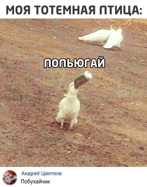 Алкопост 16.01.21