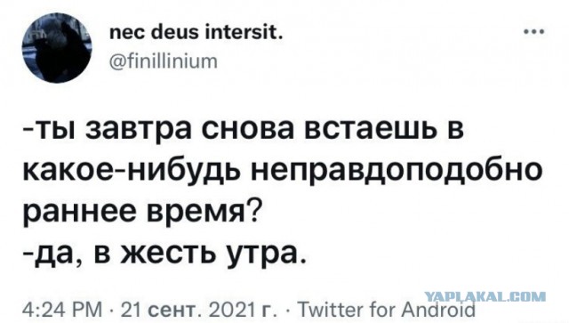 Немного картинок разной степени новизны и адекватности - 10