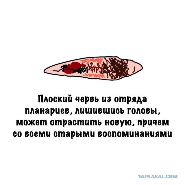 Картинки на субботу