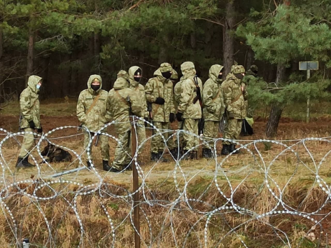 В Гродненской области огромная толпа мигрантов из Ирака и Сирии движется к границе с Польшей