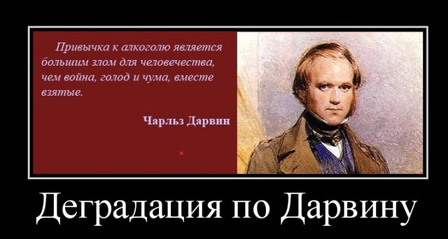 И опять о алкоголиках и семейной жизни
