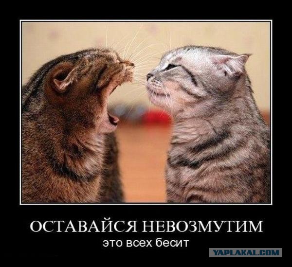 Какое счастье, что я тогда с ней развелся