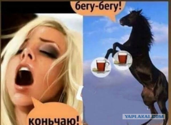 Пятница. И немного слегка пошлых картинок с надписями и без 16+ (29.04)