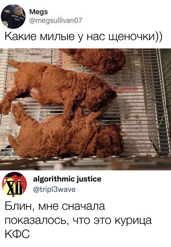 Картинки и мемы - "Жить, как говорится, хорошо..."