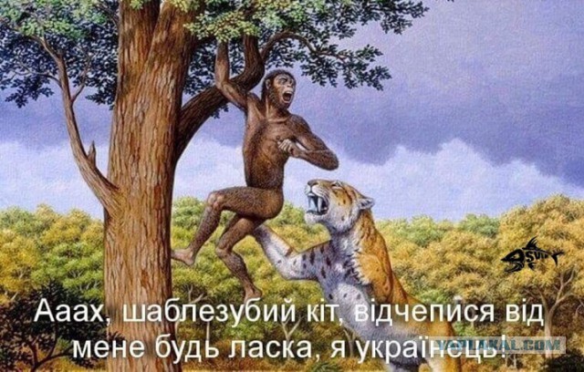 "Эльфийский лучник" просочился в британскую прессу