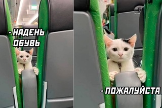 Картинки и мемы для настроения - 123