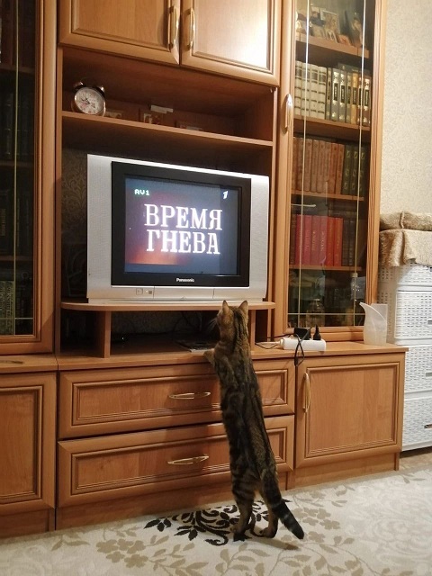 Что тебе нравится в девушках?