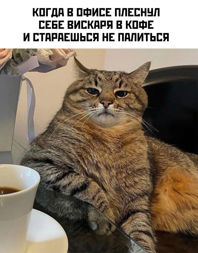Весёлый полтишок 21.12.2022