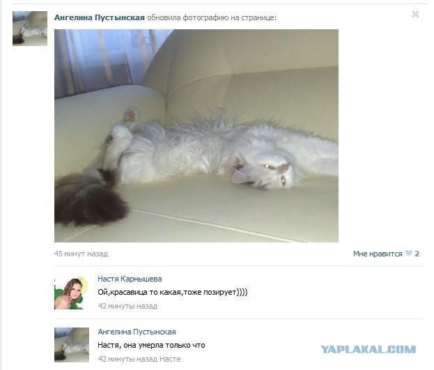 Девочка первый раз попала на автовыставку