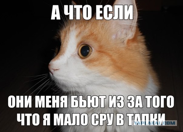 А что если?