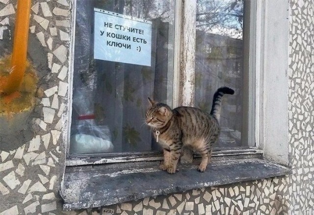 Завалялось тут случайно немного забавных картинок в субботу