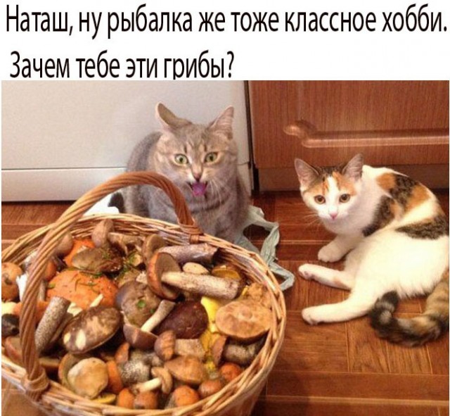 Так себе картинки 17.09.24