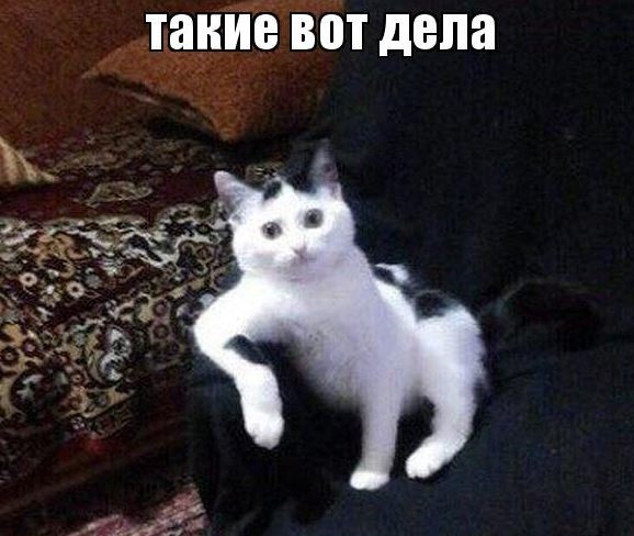 Ну а вы всё спорите. Точка поставлена