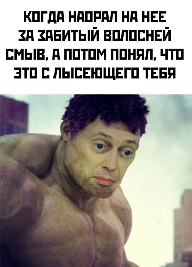 Весёлый полтишок 29.12.24