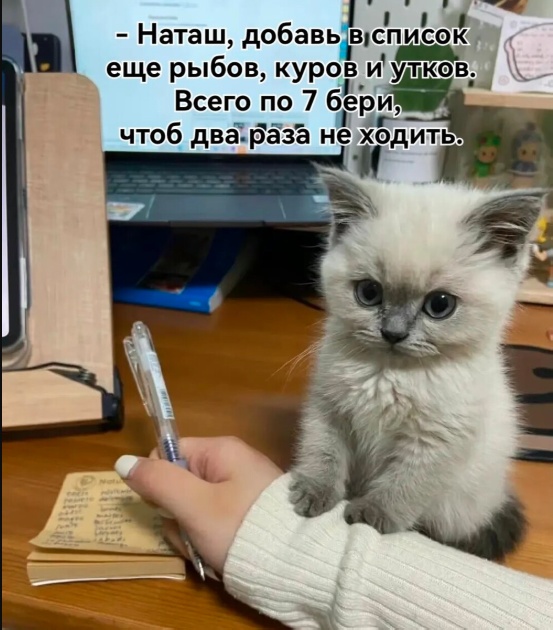 Так себе картинки 31.12.24