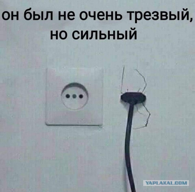 Баяны, очень баяны, но думаю улыбнёт