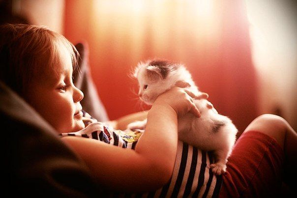 Пейте дети, молоко ))