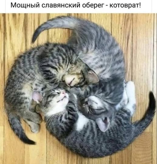 Веселые картинки в маленькую пятницу (19.11)