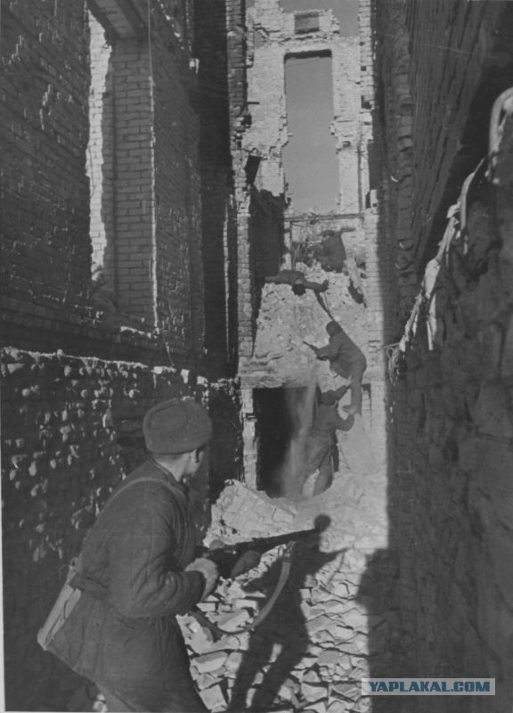 Великая Отечественная в фотографиях-16
