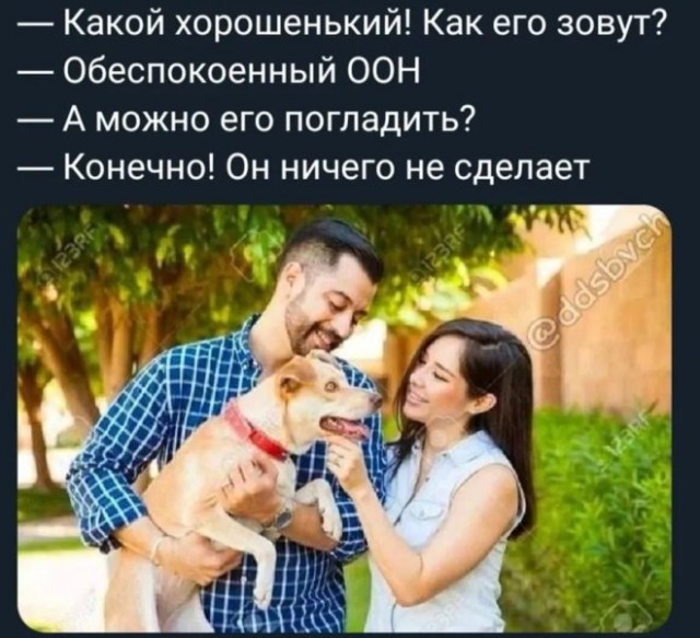 Иран в срочном письме к Организации Объединенных Наций: