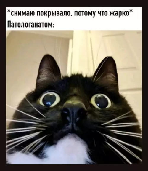 Картиночки, баянчики 11 марта