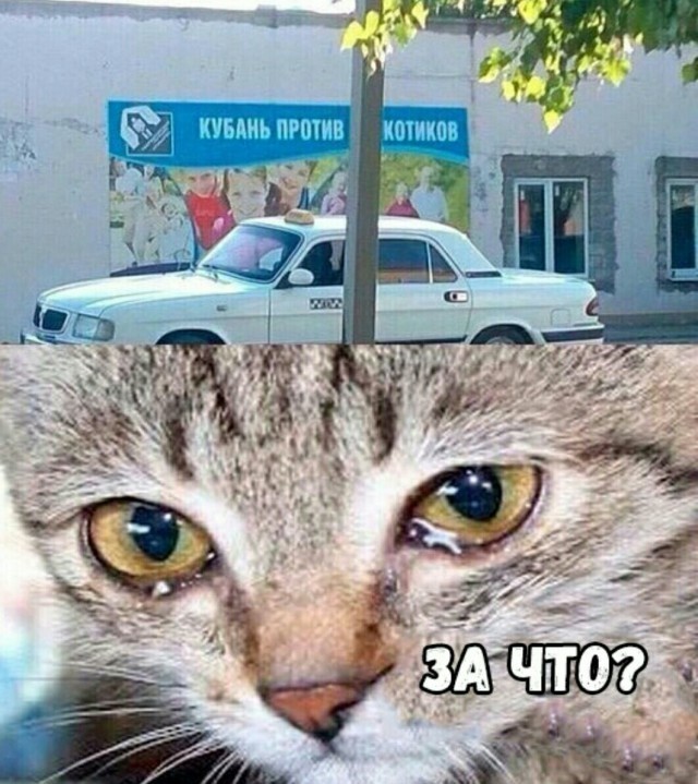 Что-то пошло не так