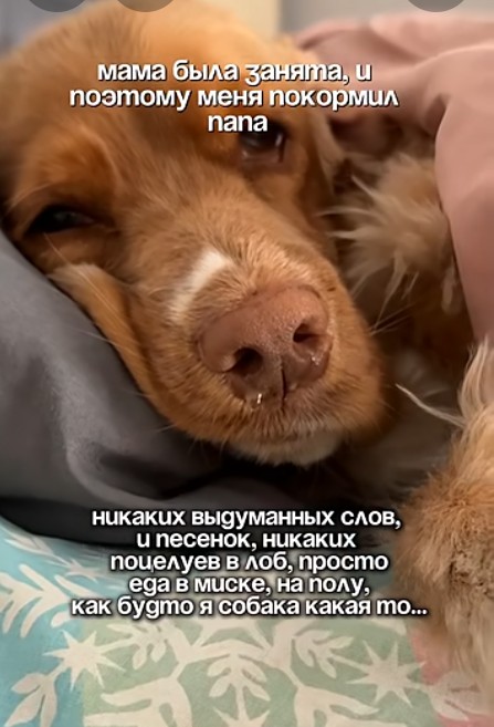 Картинки для деградации 184 (разной степени свежести)