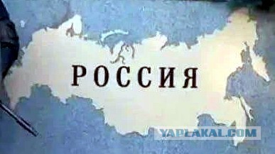 Предупредительный от Алёнки