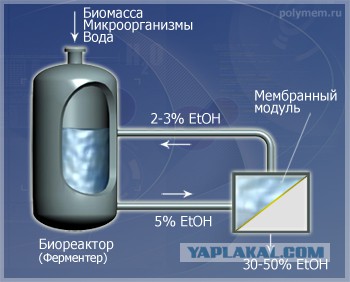 чОткость в соцсетях