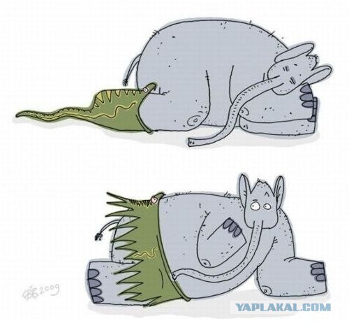 Ужик тырит щуку