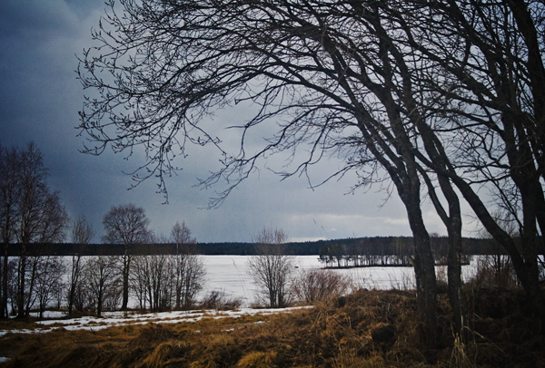 Скоро зима, товарищи !
