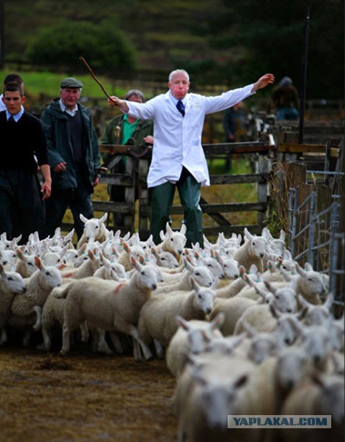 Путин дал ответ по Украине