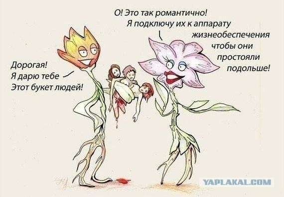 Весёлые картинки. Разбавим будни