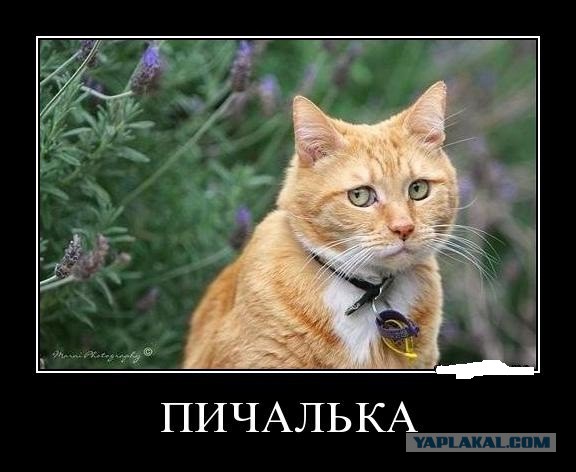 Ляпис Трубецкой объявил о роспуске группы