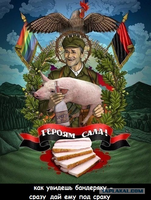 Ляшко поймали