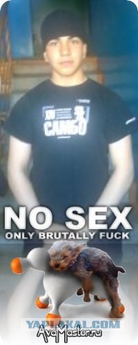 Подборка Аватарок Вконтакте