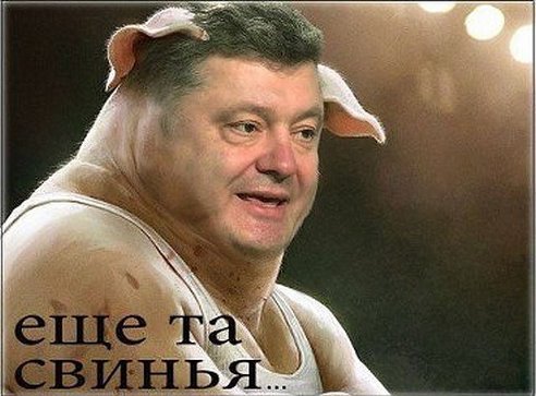 10 дней на мирное урегулирование ситуации