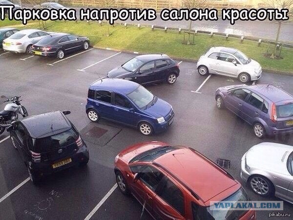 Немного позитива на пятницу.