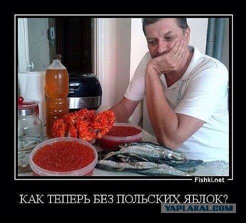 Нелегко быть пшеком