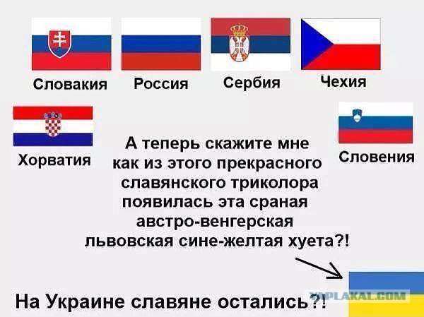 Братские народы России и Сербии
