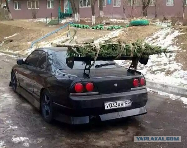 Веселые картинки
