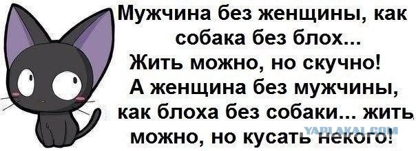 Откровения разведенного