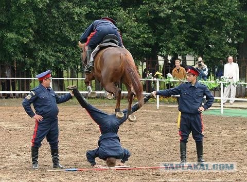 Помогите Маше