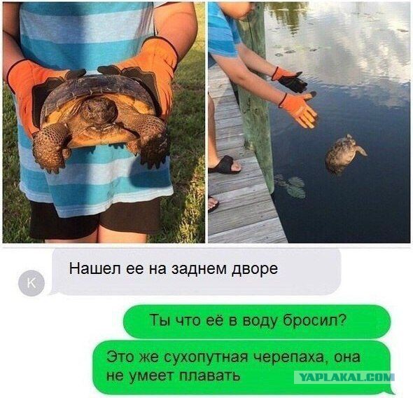 Смешные комментарии из социальных сетей
