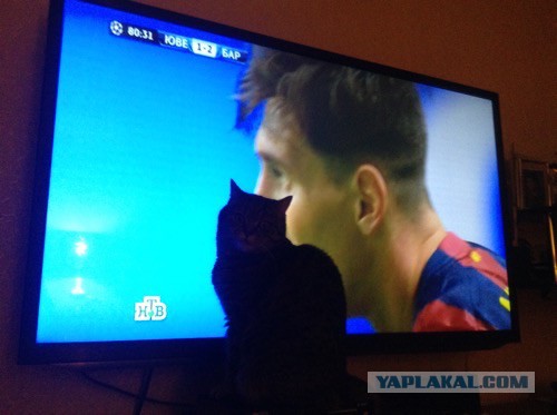 Champions League Сезон 2014/2015