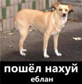Я конечно пьян... но они явно гонят )))