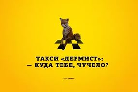 Что бывает на онлайн-аукционах у таксидермистов